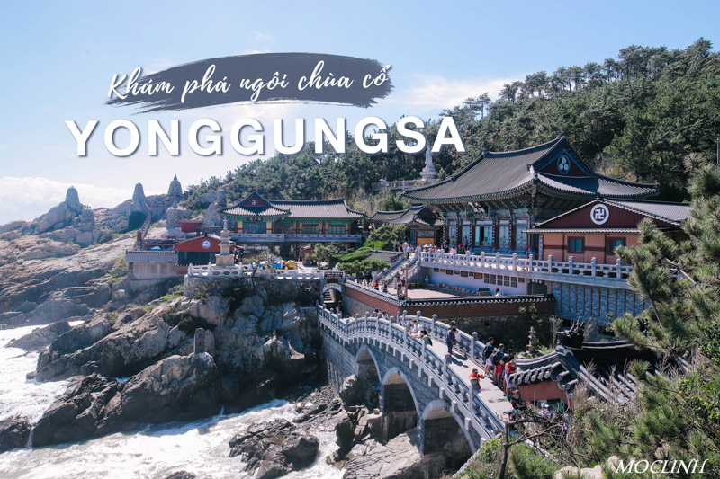 TRAIN TO BUSAN PHẦN 2: Khám phá ngôi chùa cổ Haedong Yonggungsa (해동 용궁사)